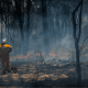 Firefighter standing in burnt area of bushland